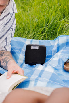 Pure Woodland Mini Black
