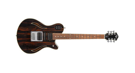 Michael Kelly Custom Collection Special elgitarr, Striped Ebony