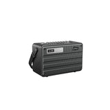 C.Perkins Roady FL Active Street Speaker