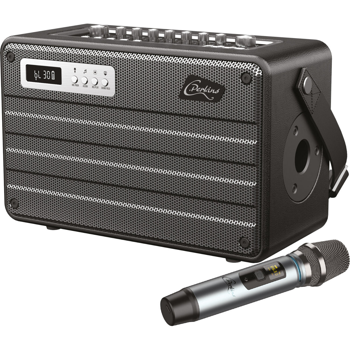 C.Perkins Roady FL Active Street Speaker