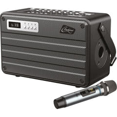 C.Perkins Roady FL Active Street Speaker