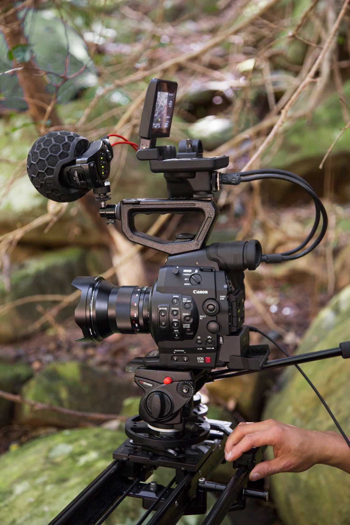 RØDE SVMX Broadcast Mikrofon