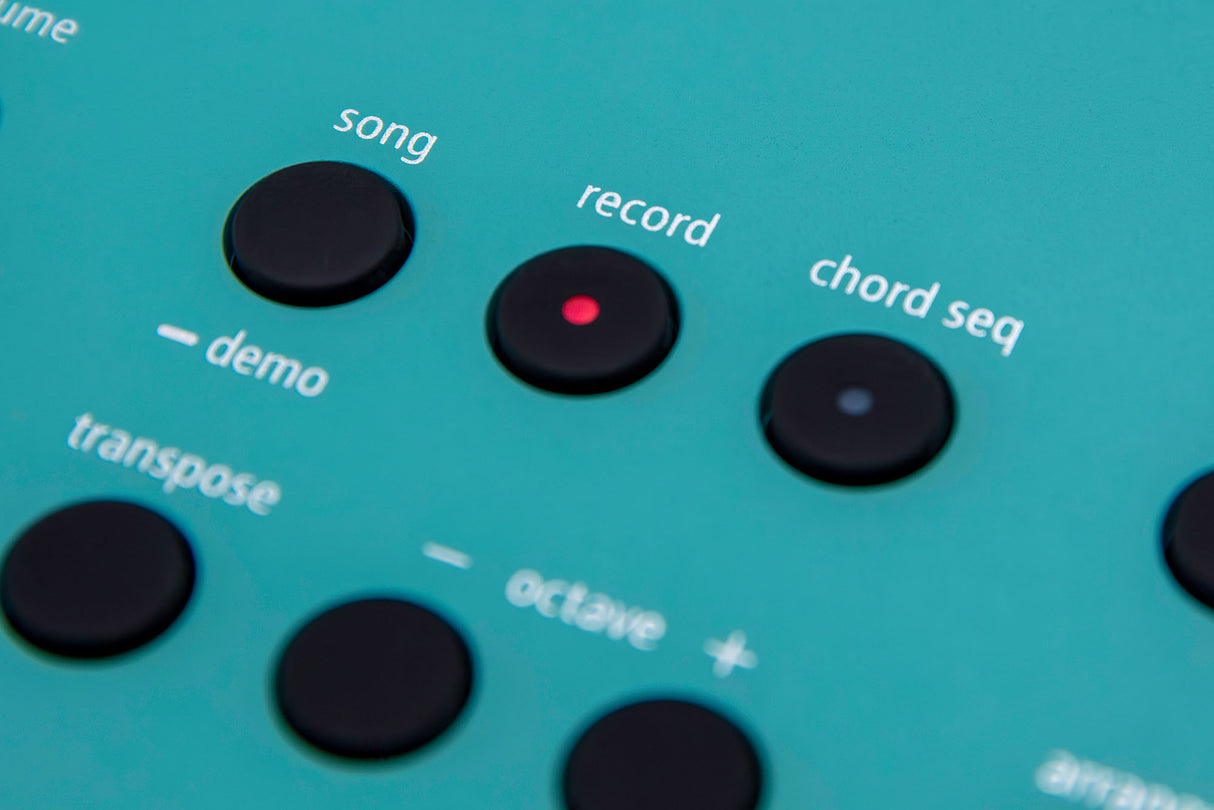 Roland GO:KEYS 3 Keyboard ( Turquoise )