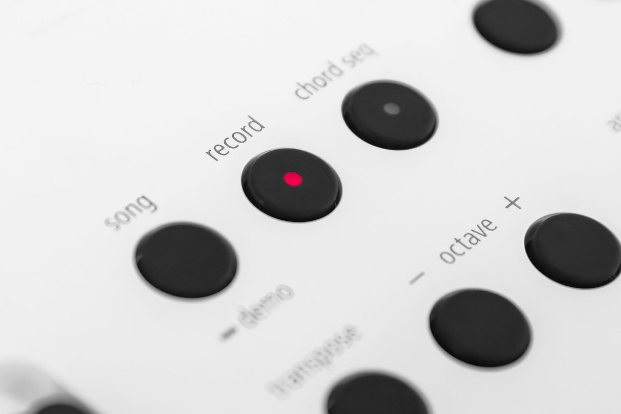 Roland GO:KEYS 5 startpaket (vit)