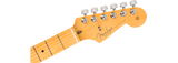 Fender American Professional II Stratocaster elgitarr (Dark Night)