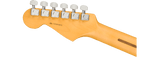 Fender American Professional II Stratocaster elgitarr (Dark Night)