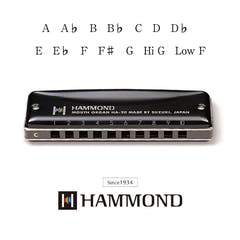 Hammond HA-20 Munspel (G) 