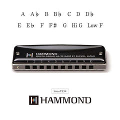 Suzuki Hammond HA-20 Munspel (F#)