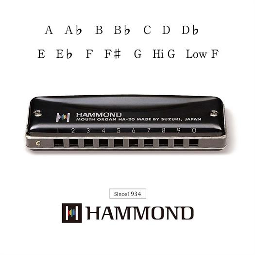 Suzuki Hammond HA-20 Munspel (F#)