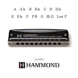 Suzuki Hammond HA-20 Munspel (F#)