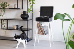 Crosley - Manchester Skivspelarmöbel (Vit)
