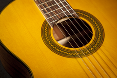 Takamine GC1CE-Night Classic Spanish Guitar (Nature)
