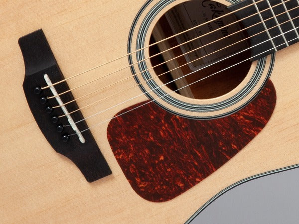 Takamine GD10-NS Western gitarr (naturlig)