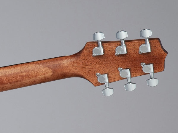 Takamine GD10-NS Western gitarr (naturlig)