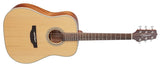 Takamine GD20-NS Western gitarr (naturlig)