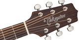 Takamine GD20-NS Western gitarr (naturlig)