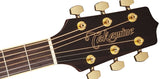 Takamine GD51CE-NAT Western gitarr (naturlig)