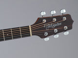 Takamine GN10-NS Western gitarr (naturlig)