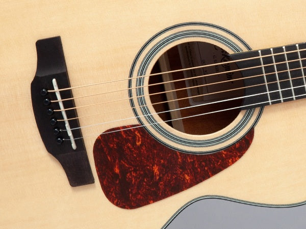 Takamine GN10-NS Western gitarr (naturlig)