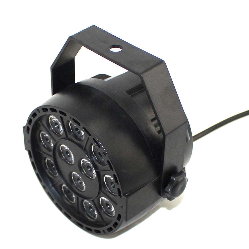 Ibiza UV LED Spot (12x2W)