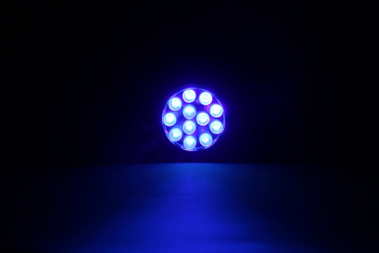 UV ficklampa