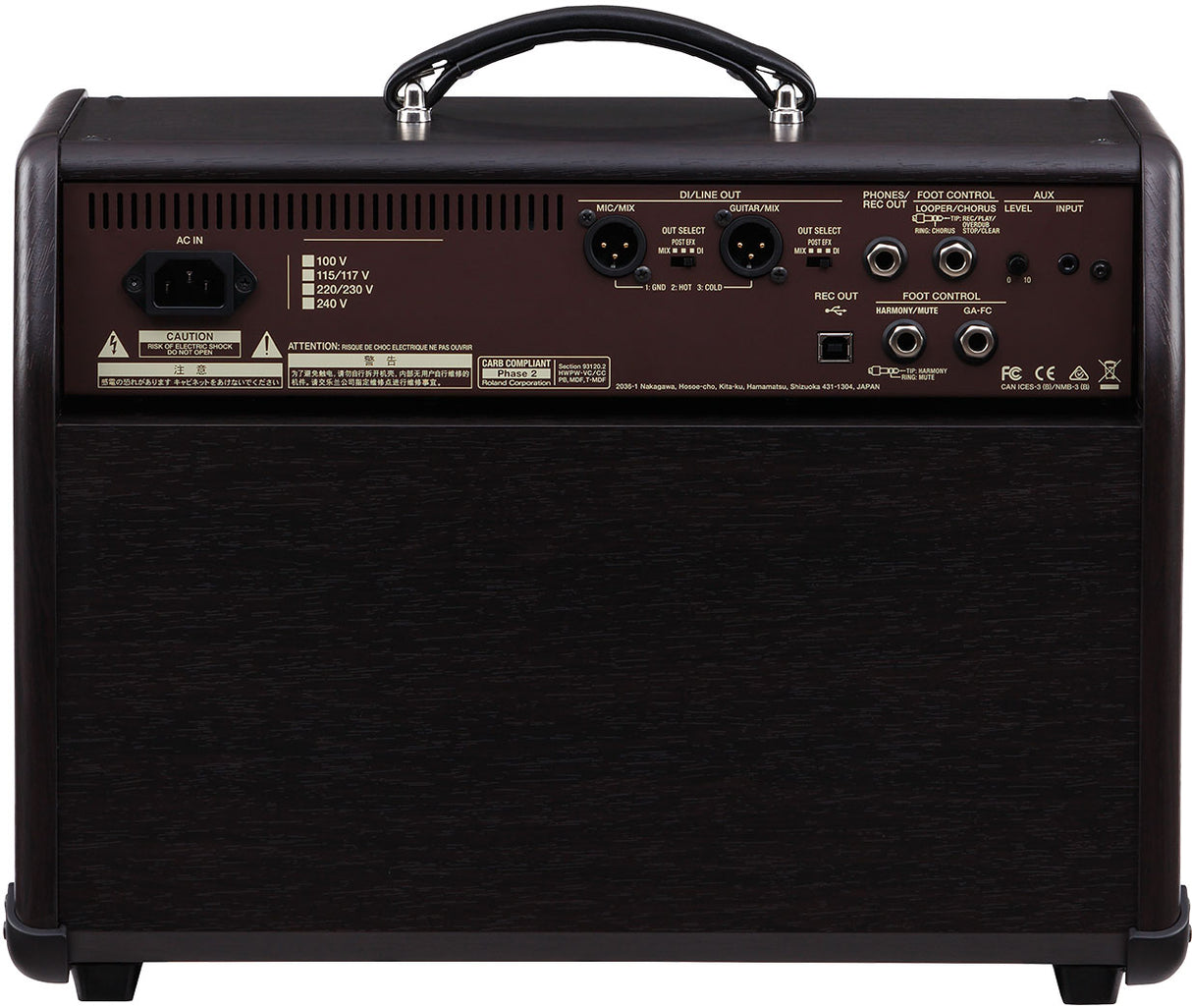 Boss ACS- PRO gitarrförstärkare