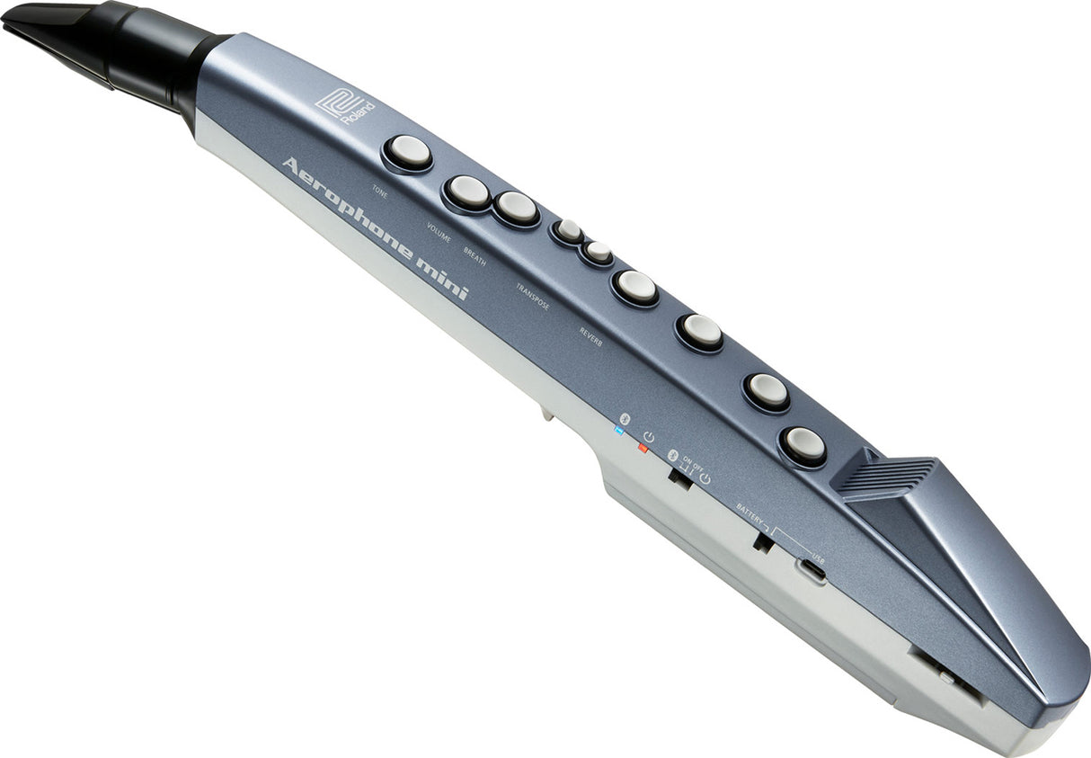 Roland AE-01 elektrisk inspelare (blå/vit)