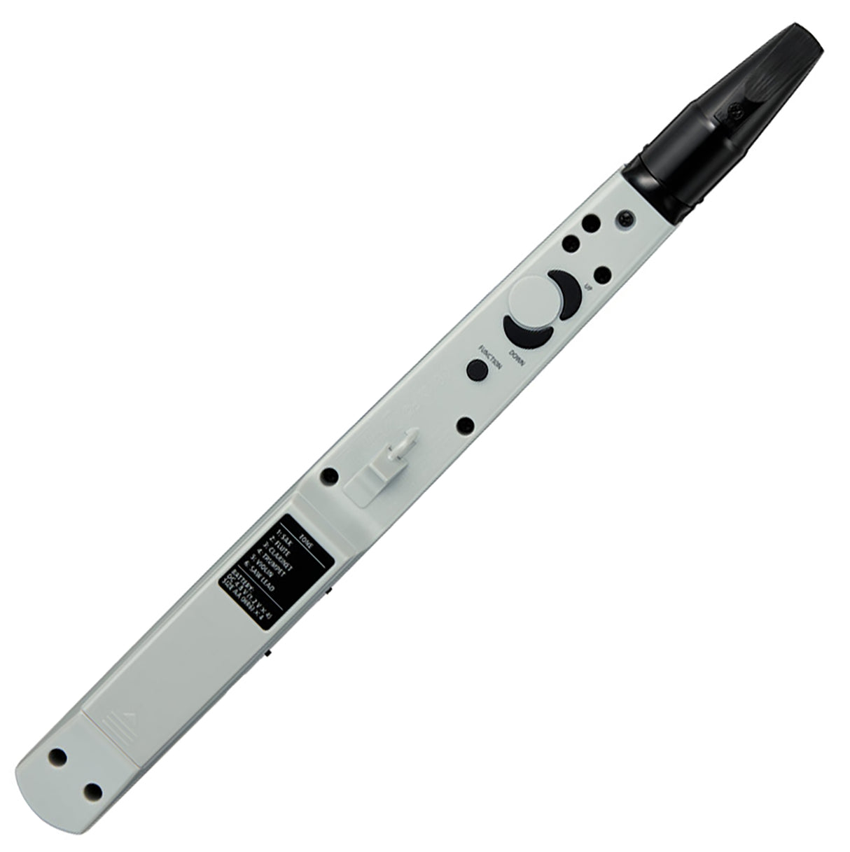 Roland AE-01 elektrisk inspelare (blå/vit)
