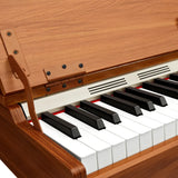 Donner DDP-80 PLUS elpiano