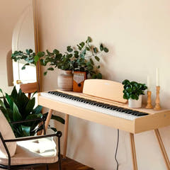 Donner DDP-80 elpiano beige Komplett Paket