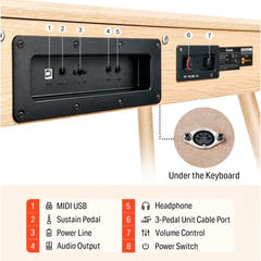 Donner DDP-80 elpiano beige Komplett Paket