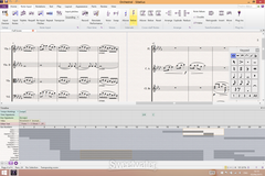 Sibelius Ultimate perpetuell licens