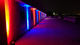 Chauvet Freedom Par Quad-4 IP Batterilampe