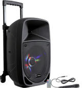 Ibiza Party8LED Festival-högtalare (300W)