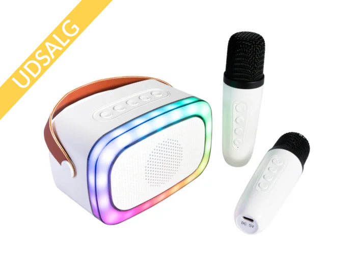 Ibiza Smart Karaoke Bluetooth-högtalare med 2 trådlösa mikrofoner