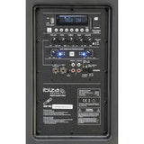 Ibiza PORT12UHF-MKII (svart)