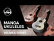 GEWA sopranukulele Manoa Surf Style - Soprano (Pacific Lagoon)