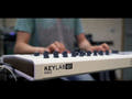 Arturia KeyLab 49 MKII MIDI Keyboard (vit)