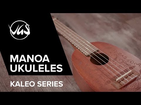 GEWA Concert Ukulele Manoa Kaleo - E-A konsert (Sapelli matt)