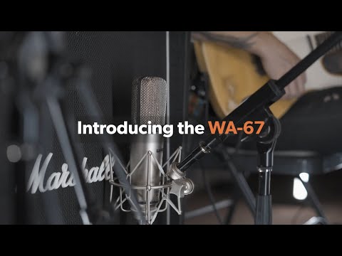 Warm Audio WA-44