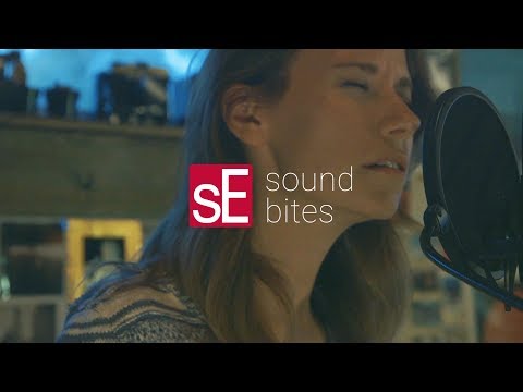 sE Electronics X1S Studio Bundle 