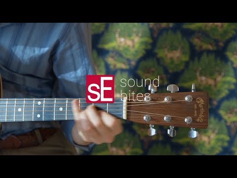 sE Electronics sE2200 Kondensatorstudiomikrofon