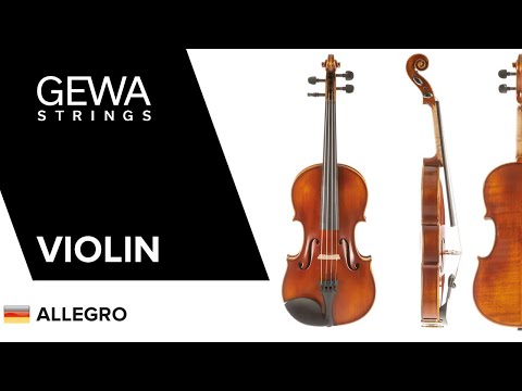 GEWA Fioler Allegro - 1/4 (Spelklar inkl. formgjutet fodral, kolfiberstråke, Larsen Aurora-strängar, transportsäkrad)