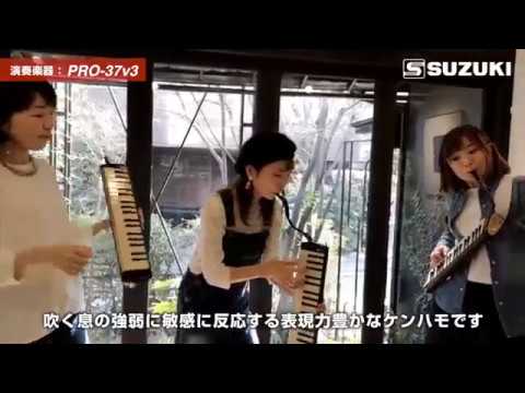 Suzuki Pro Alt Melodika (svart)