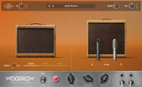 UAD Guitar Amp Bundle