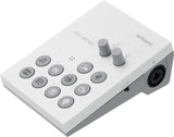 Roland GO:LIVECAST Ljudkort