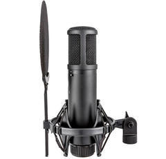 sE Electronics sE2200 Kondensatorstudiomikrofon