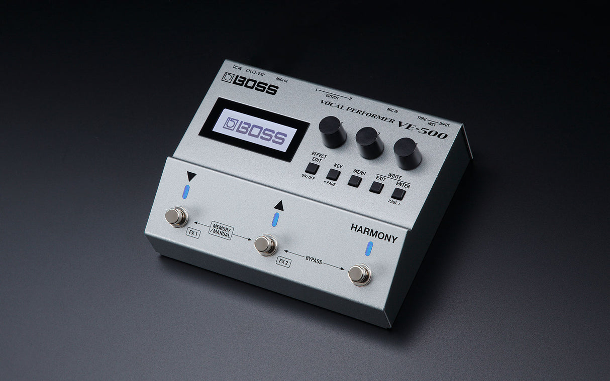 Boss VE-500 sångare